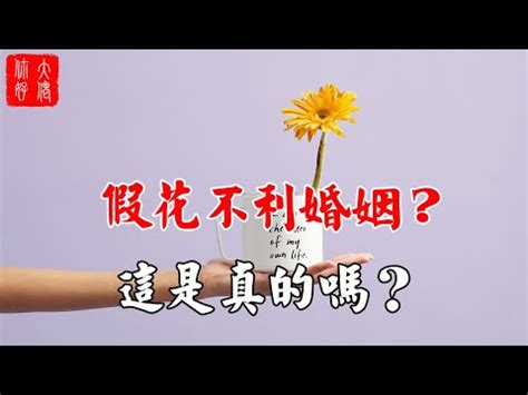 假花風水破解|【屋企放假花】小心！屋企放假花原來會影響風水？教你破解化解。